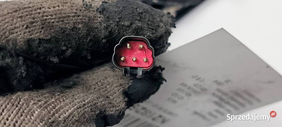 LUSTERKO LEWE FORD FOCUS Pozostałe Lipno