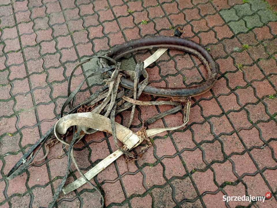 Homonto z osprzętem Rzeszów