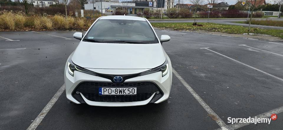 Toyota corolla Poznań