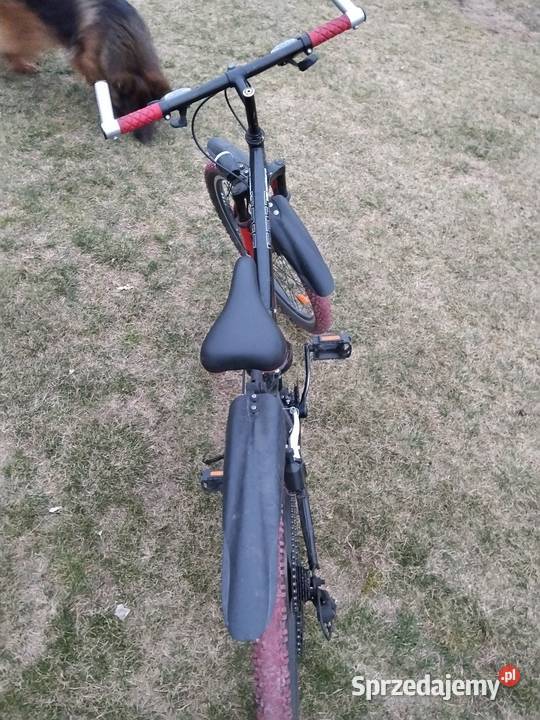 Rower górski 24 cale Antonina