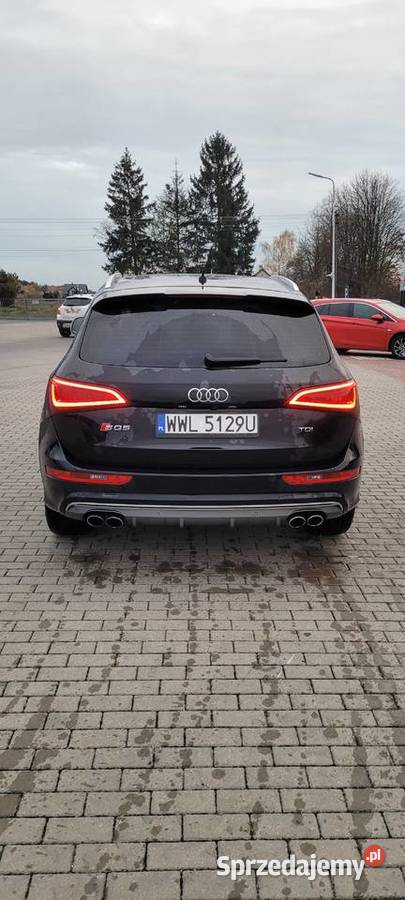 Audi SQ5 30 TDI 313 Full ogranicznik prędkości SQ5 Tłuszcz