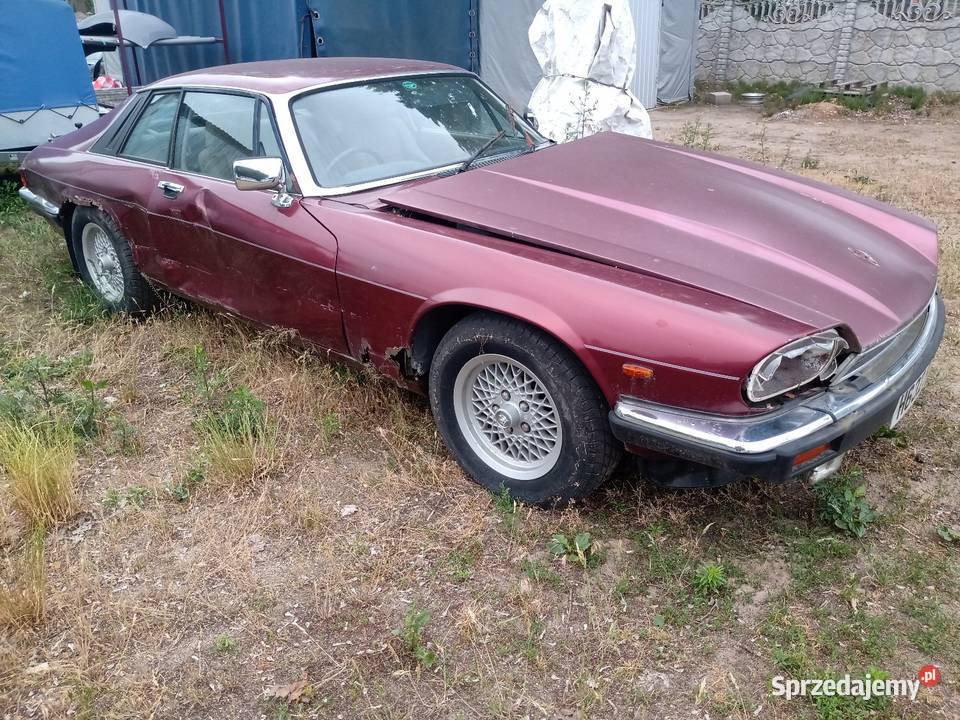 Mercedes 107 450 slc jaguar xjs 36 Piotrków Trybunalski