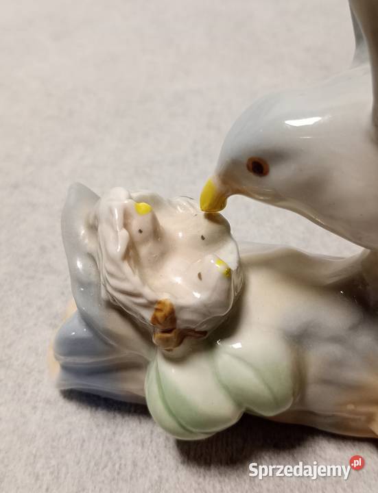 CASADES Ptak karmiący młode Powrót do gniazda pomorskie Gdańsk