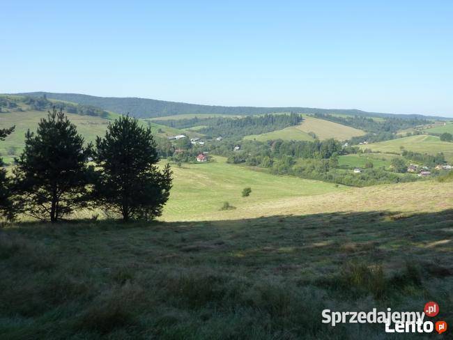 Bieszczady grunt sprzedam 8zł/m2 podkarpackie Liskowate sprzedam
