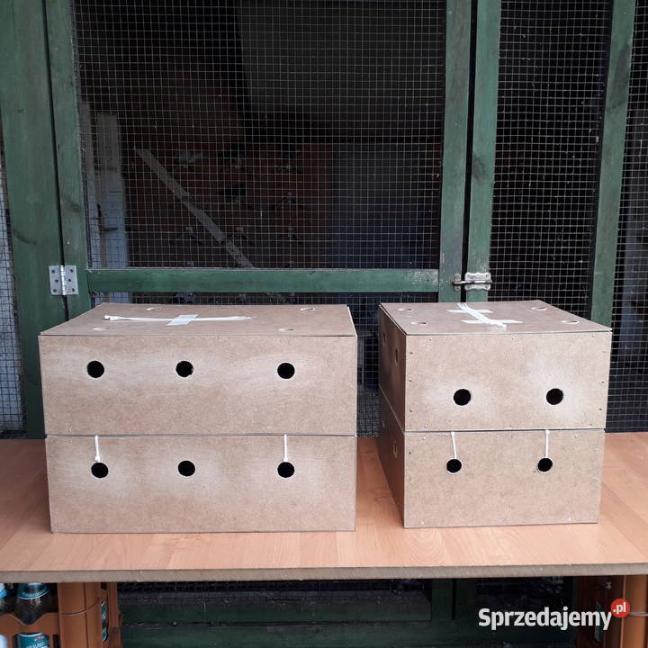 Transportówki do wysyłki ptaków Solidne Wysyłka Karpacz sprzedam