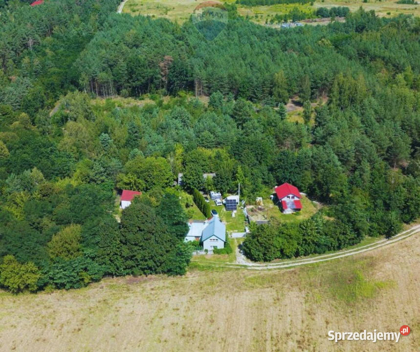 Działka budinwest 25ha 800m SUNTAGO