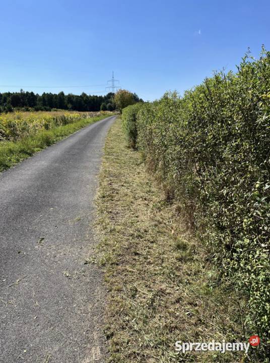 Działka 12 arów 1200 m 24 ary 2400 m Poręba Poręba Żegoty sprzedam
