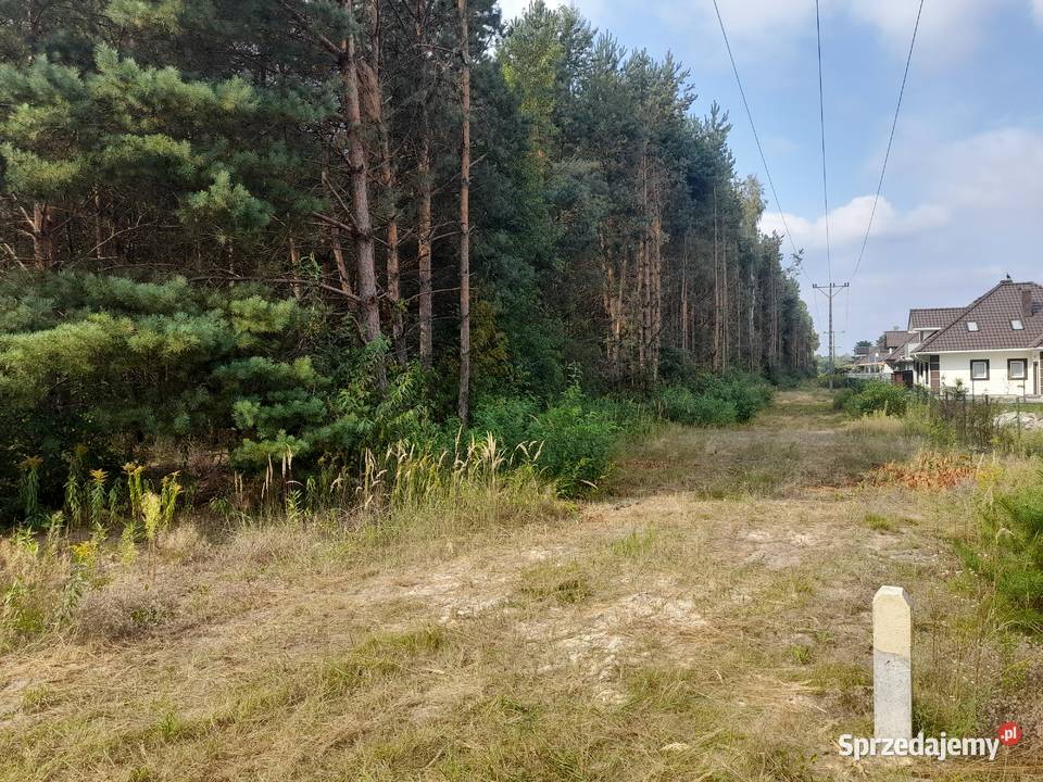 Syndyk sprzeda udziały w grunatach Jastkowice