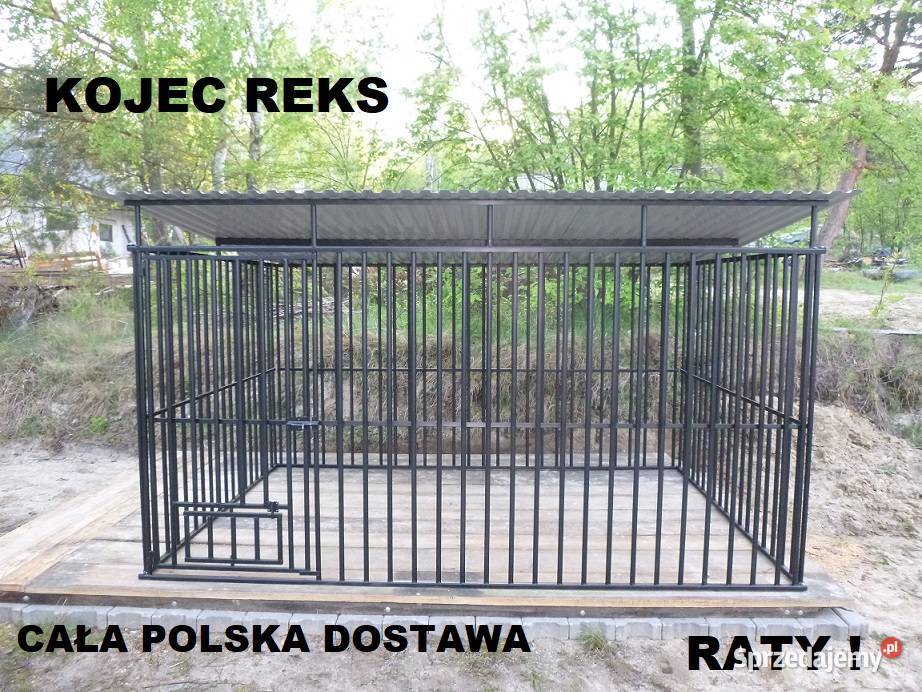KOJEC PSA ZAGRODA PSA KOJCE NA WYMIAR CAŁA Wrocław