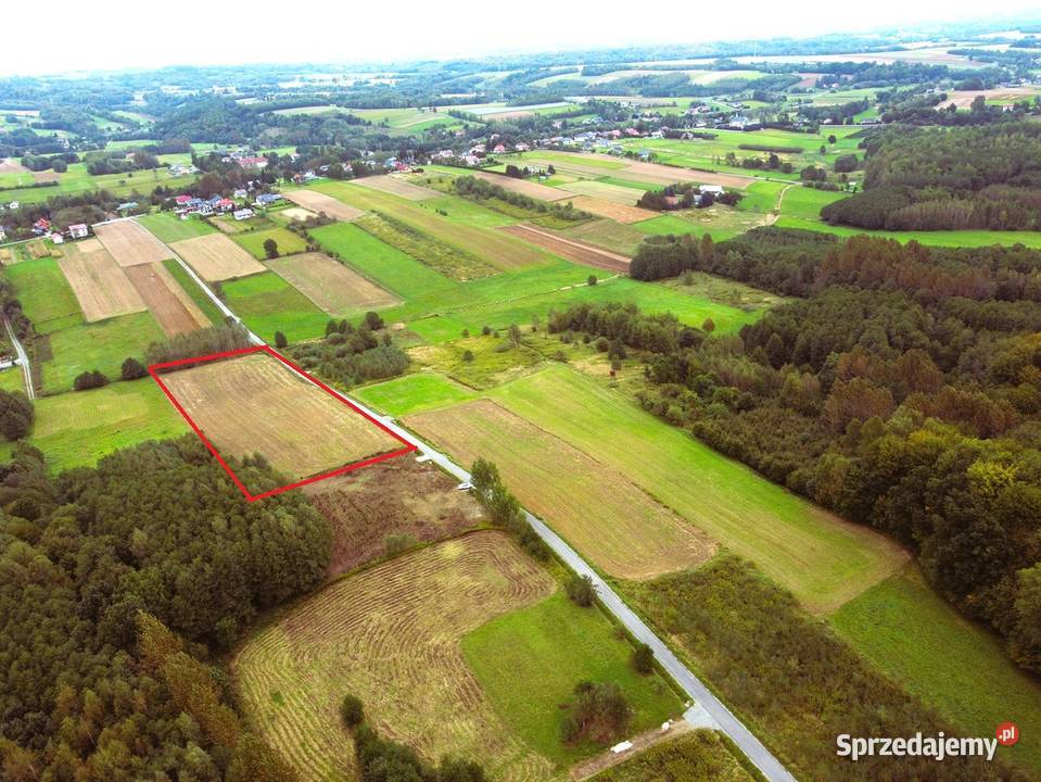 Działka z WZ Sieklówka 120 ar