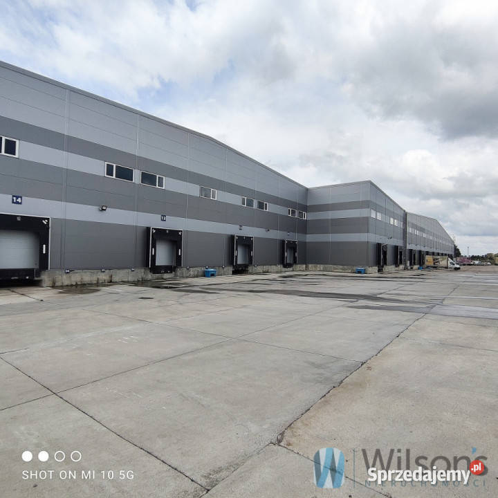 Lokal 10000m2 Pęcice