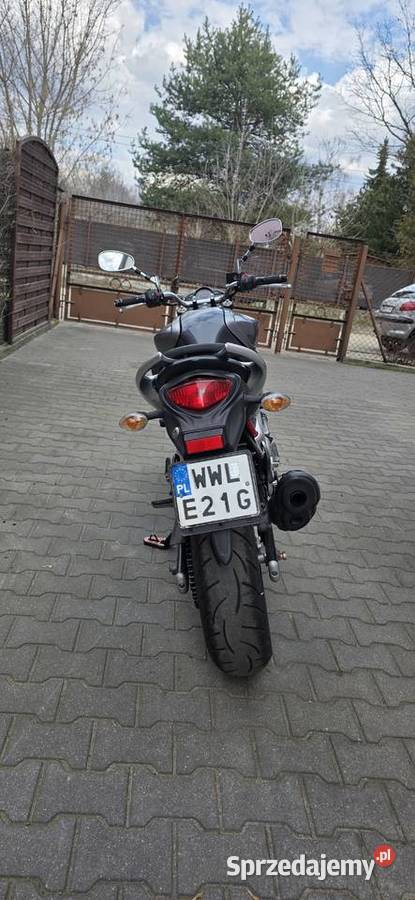 Suzuki Gladius SFV 650 Warszawa