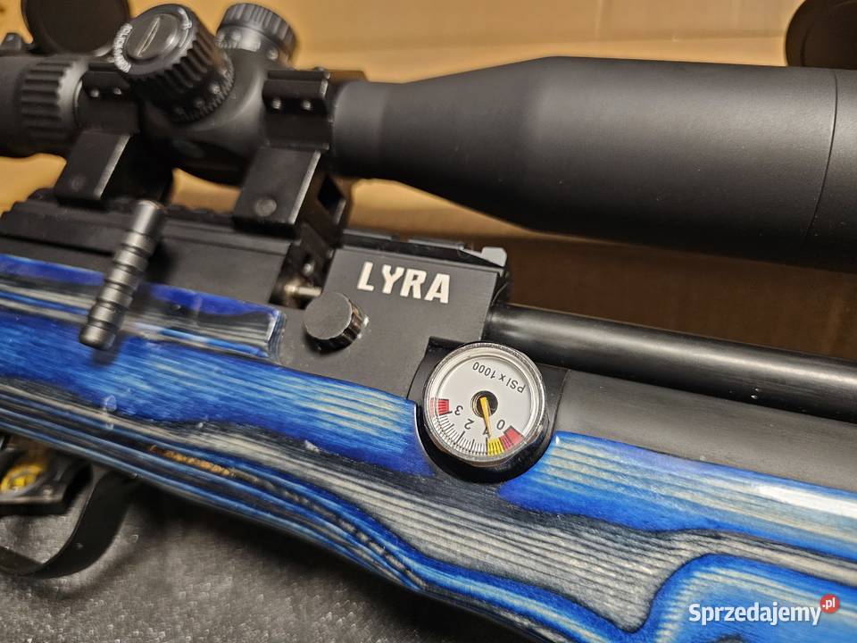 Reximex Lyra 45 blue laminate Zielona Góra