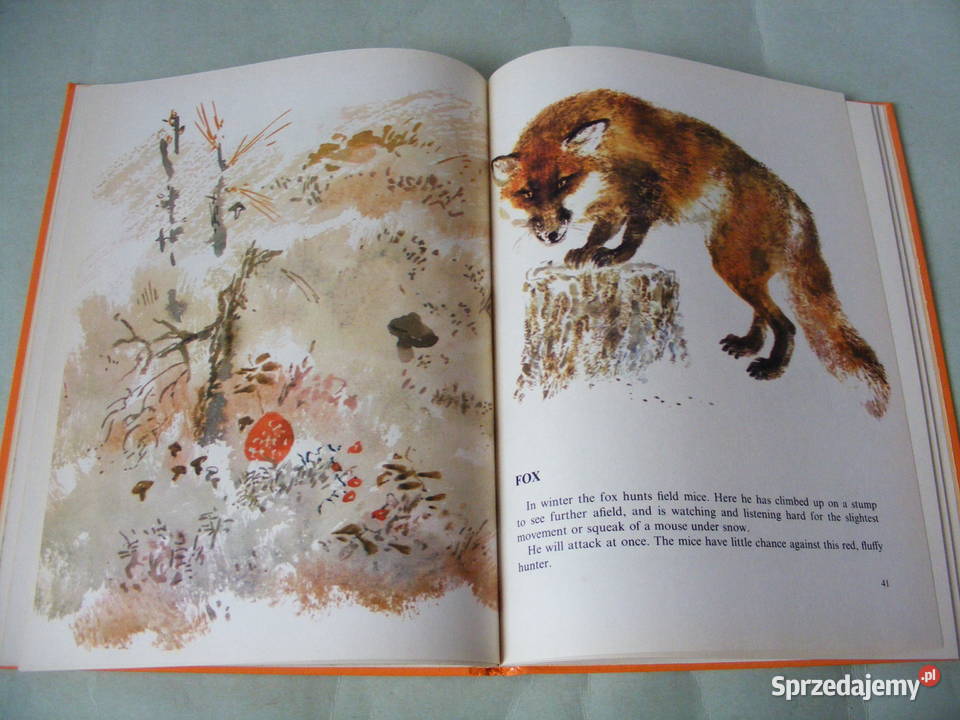 Mój pierwszy słownik angielski My Animal Book Oborniki Śląskie