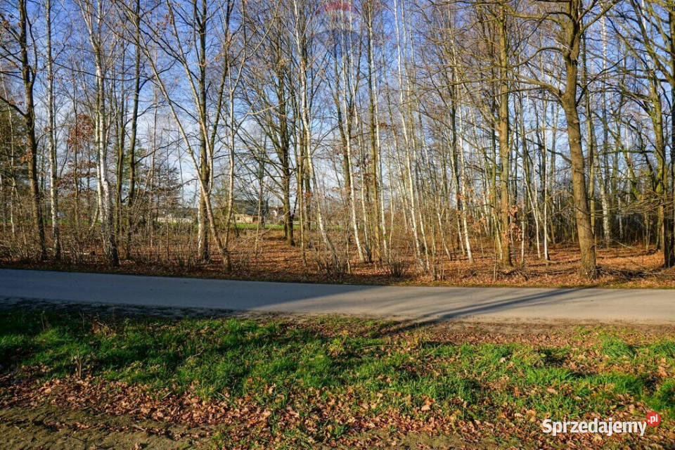 Działka budowlana 1002m2 Grądy k Żyrardowa