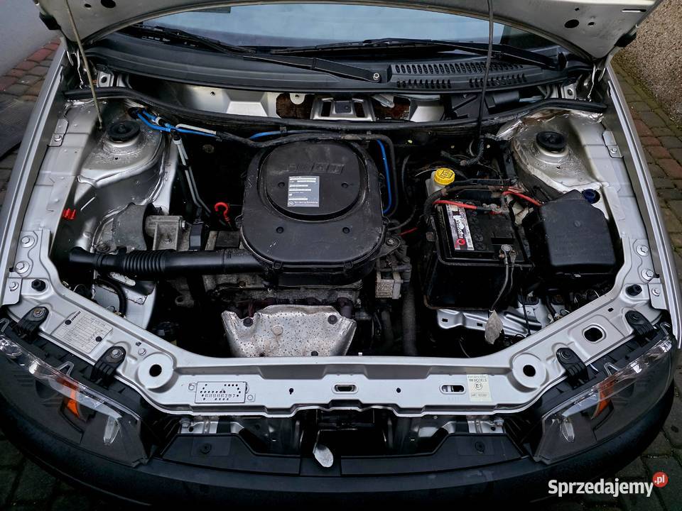 Punto 12 krajowe super zdrowe bez rdzy Niski śląskie Siewierz sprzedam