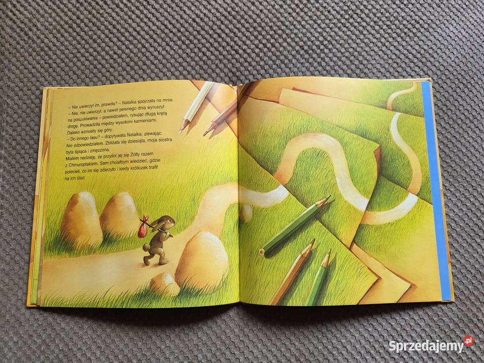 O zwierzaku którego nie było AOnichimowska ISBN 9788321345697 małopolskie Kraków