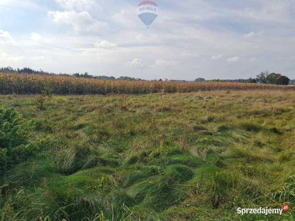 Działka obok Pułtuska z Warunkami Zab mazowieckie Pułtusk sprzedam