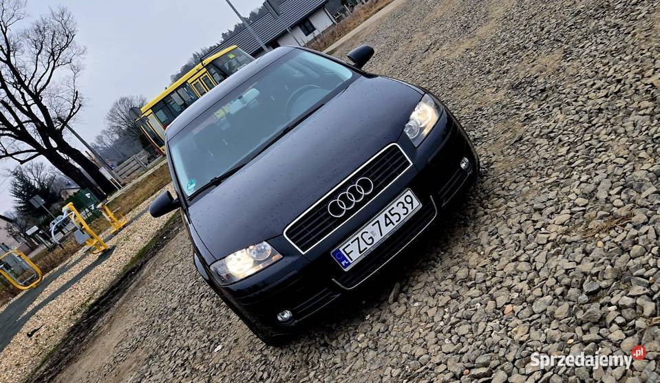 Audi a3 8p 16 mpi Zadbana Zarejestrowana bez Żagań