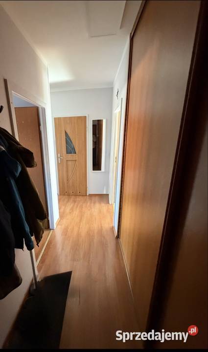 Przestronne dwupokojowe mieszkanie z balkonem dolnośląskie Świdnica