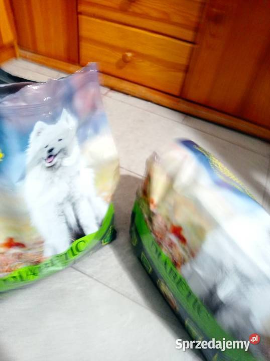 sprzedam suchą karmę psaów z cukrzycą śląskie Dąbrowa Zielona