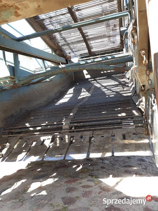 kombajn anna dwurzędowa do cebuli i warzyw wielkopolskie Września