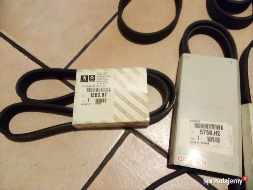 Pasek klinowy wielorowkowy CitroenPeugeot Leszno