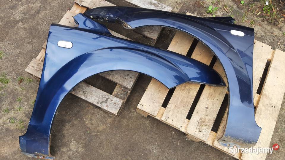 błotnik prawy lewy przód Ford Focus mk2 lak 23 osobowe Dębno sprzedam
