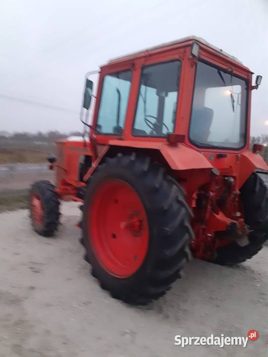 Mtz 82 Bzowiec