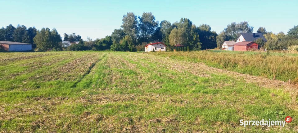 Sprzedam grunt 989m2 Łysołaje lubelskie