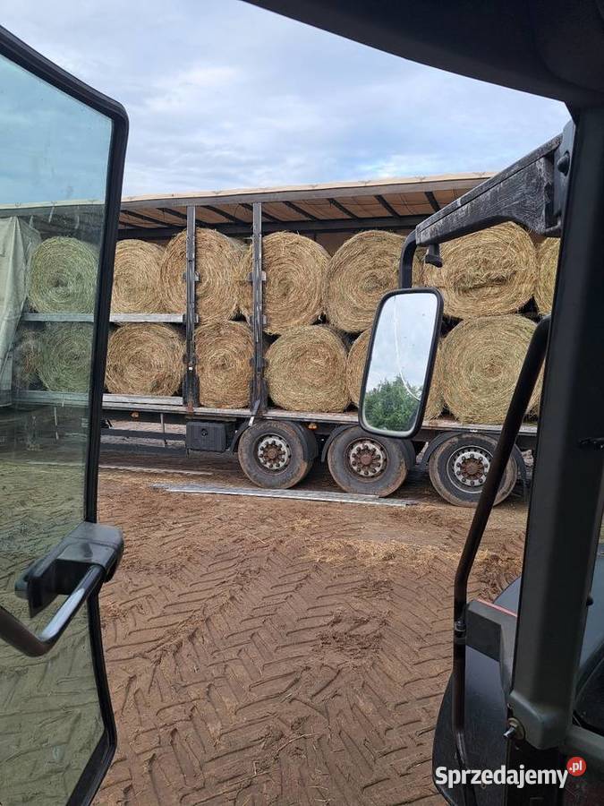 Siano koni z transportem baloty siana zwierząt Pyrzowice