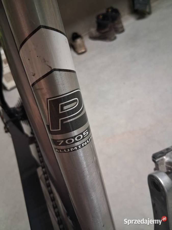 Pegasus Premio SL Trekkingowe podkarpackie Ropczyce