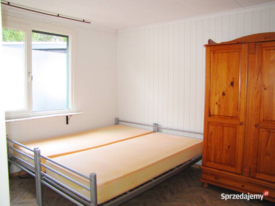 domek holenderski 2364 domek całoroczny CHALET łódzkie Skierniewice