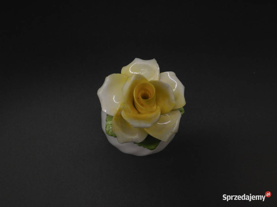 Porcelana kostna solniczka pieprzniczka Fine Raszków sprzedam