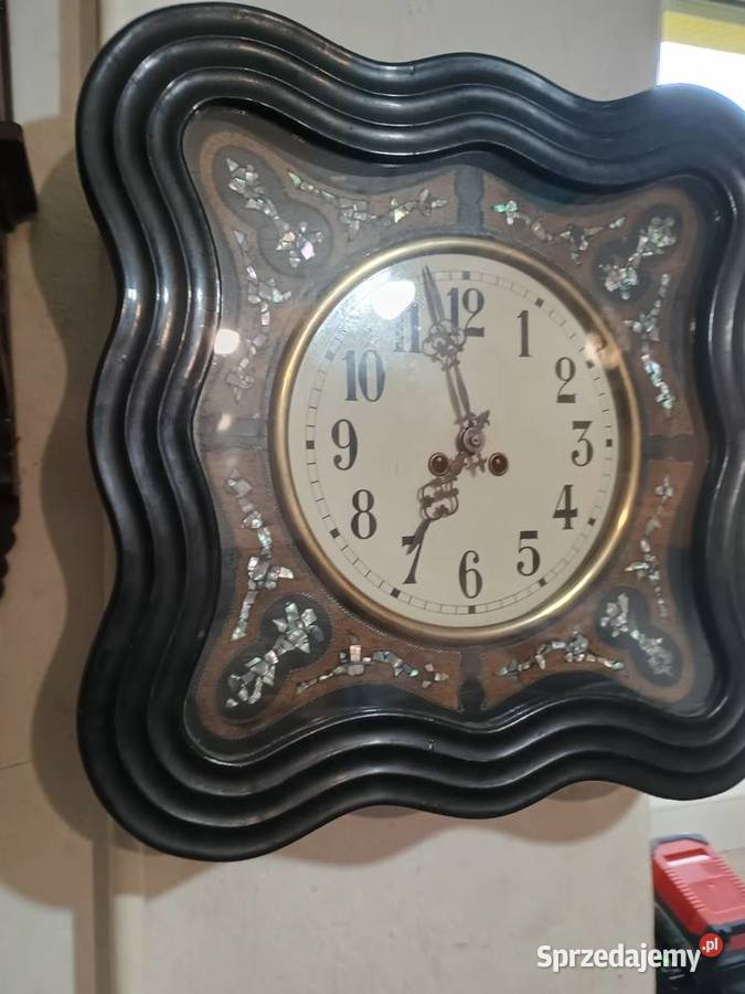 Francuski zegar bawole oko Łąka