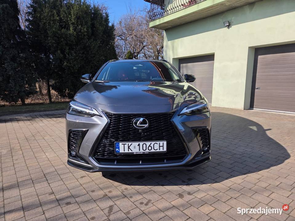 Lexus nx450h salon polska