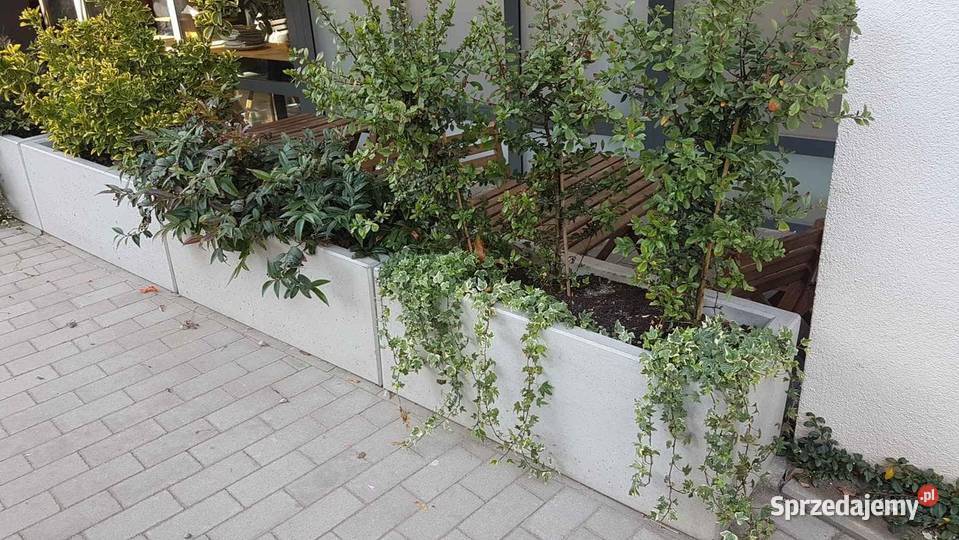 Promocja Donica betonowa 100x50x50h beton arch Kraków