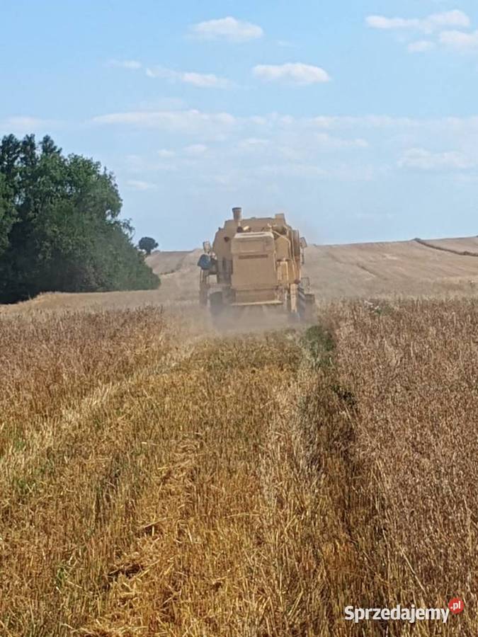 Holland 8040 Krzczonów-Wójtowstwo