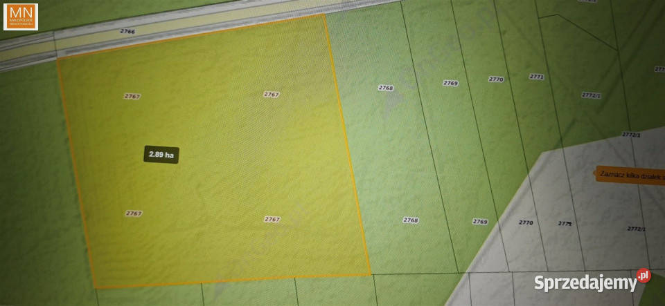 Działkę sprzedam 28900m2 Borzęcin małopolskie
