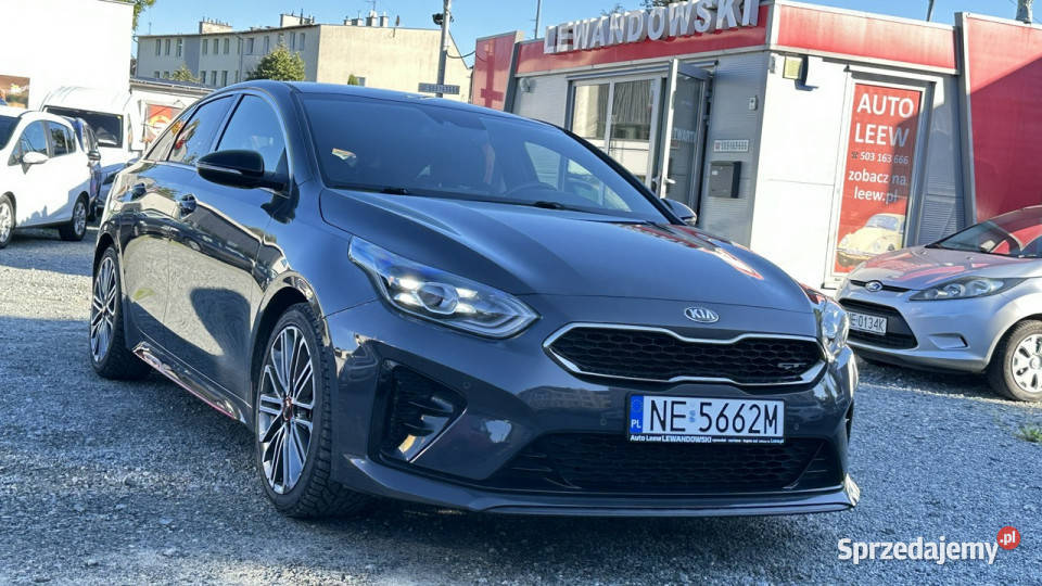 Kia Pro Ceed GT Benzyna Moc 204 Automat Bogato asystent pasa ruchu Elbląg