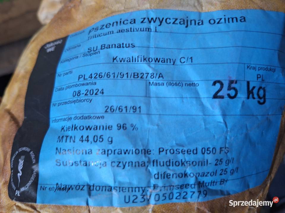 Sprzedam pszenżyto Tadeus żyto Dańkowskie Hadron