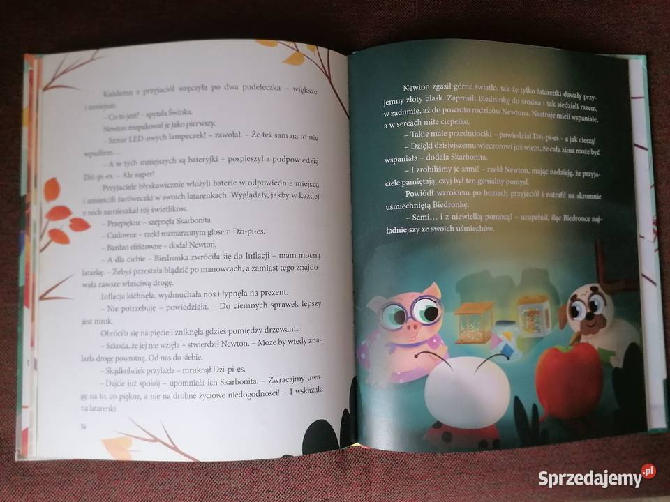 Książka Gang BystrzakówRazem można więcej Łódź sprzedam