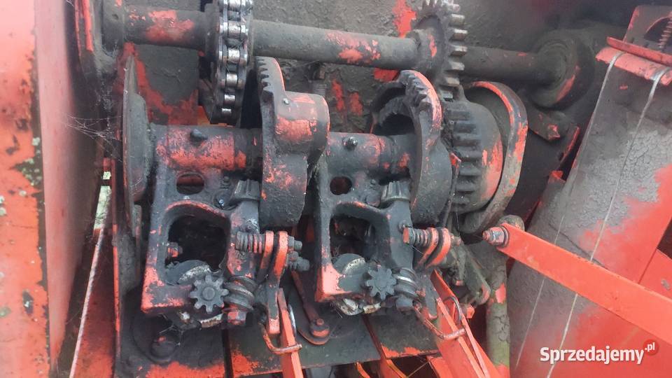 Prasa sipma Kostkujące Stara Kornica