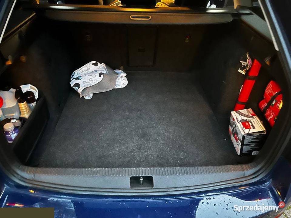 Skoda Octavia 16 TDI SCR Ambition 115 2017r Józefów