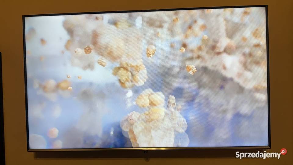 Telewizor Samsung 55 Smart TV LED LED Telewizory Opole