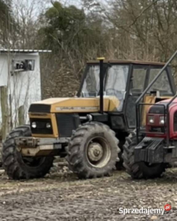 Ciągnik rolniczy Ursus 1614 z 1986 roku Skrzynia biegów Manualna Brodnica sprzedam