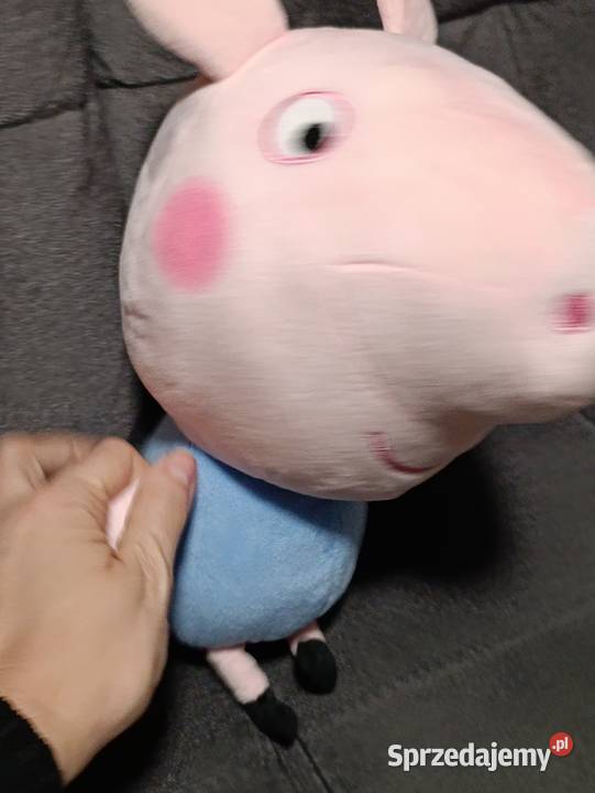 maskotki Świnki Peppy i jej młodszego brata Poznań