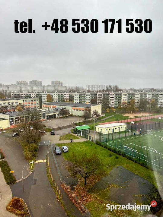 Pokój do wynajęcia Poznań Os Lecha winda tramwaj sprzedam