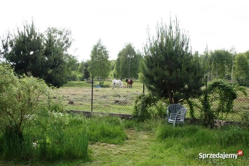 Dom rzeką Świder oaza spokoju Otwock