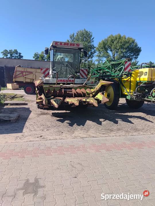 Sieczkarnia do kukurydzy Claas Jaguar 695 sl Szyszłowo